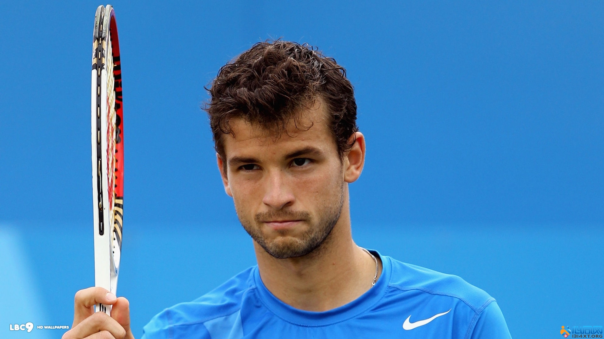 不仅要包含 不仅要包含