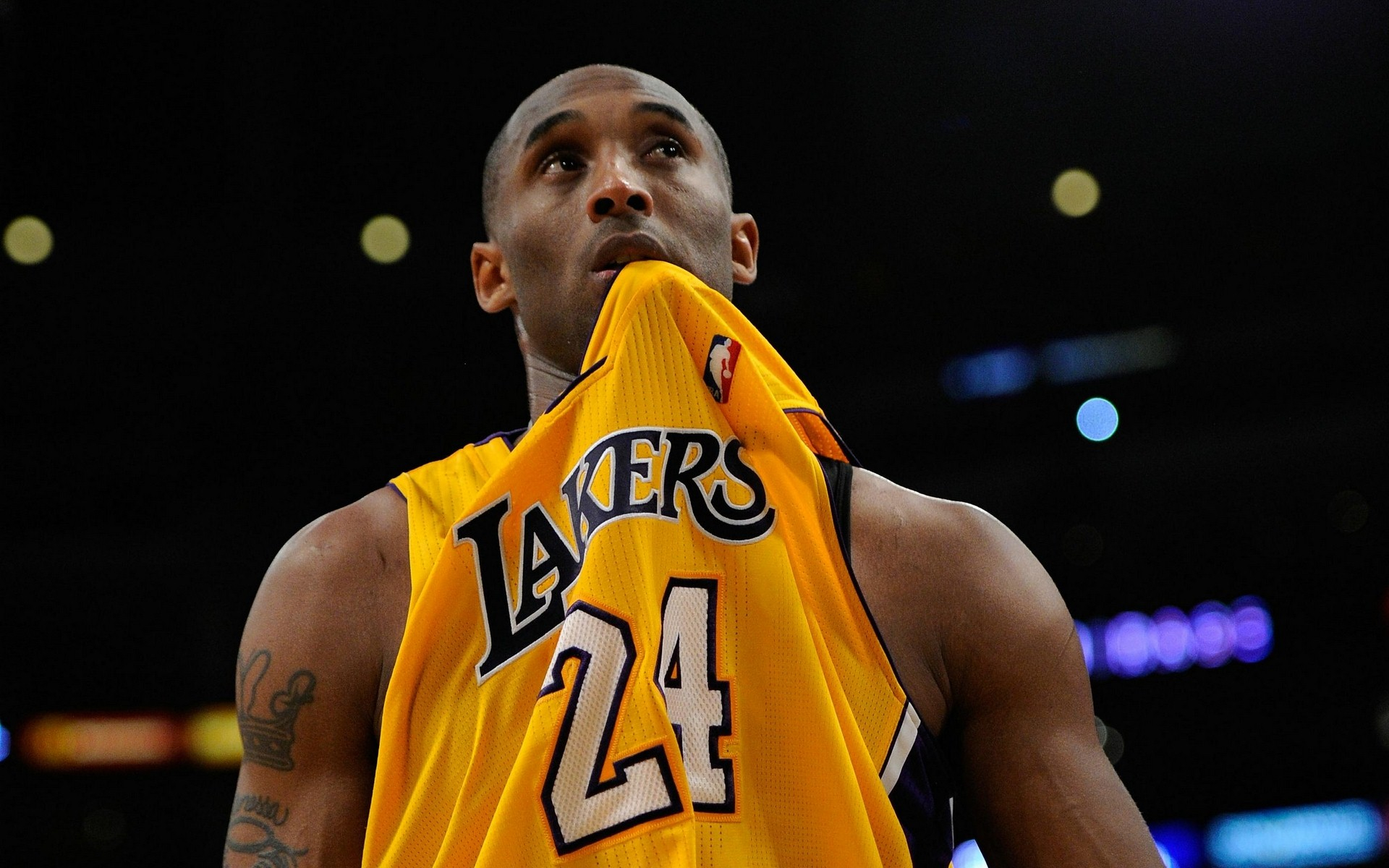 队需要积累 队需要积累