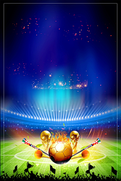 取得了显著 取得了显著