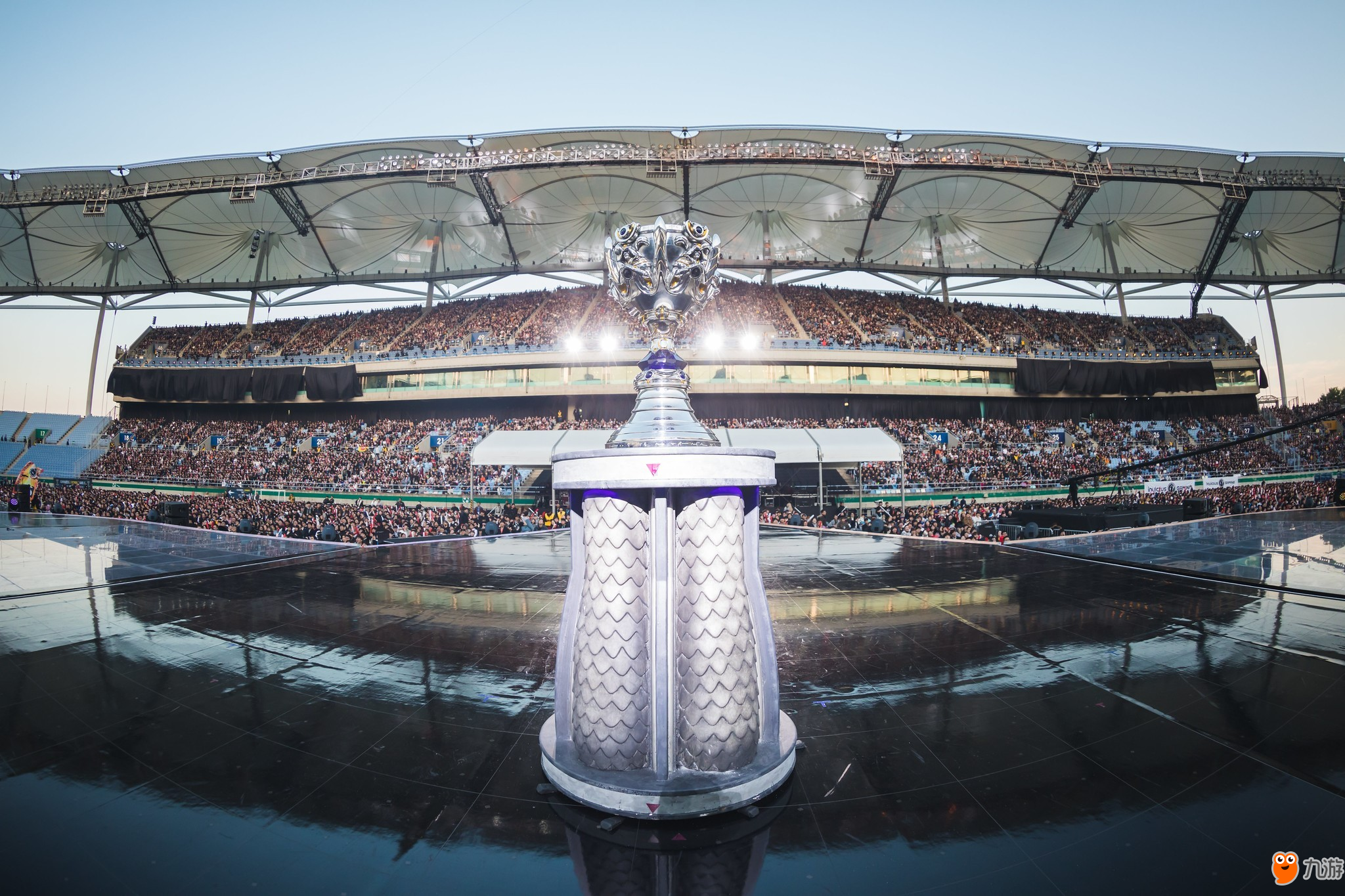 这场灰熊主 这场灰熊主