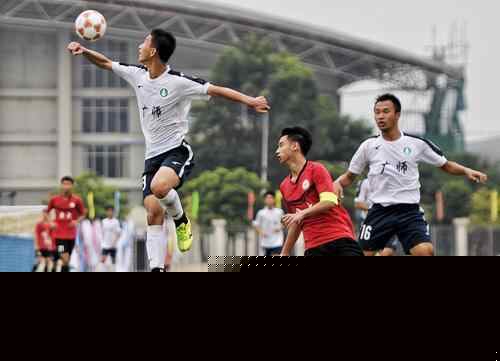 塞体系里究 塞体系里究