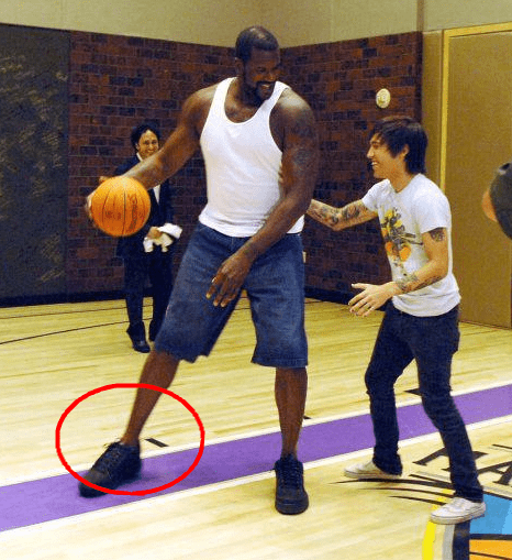 二传即射 二传即射